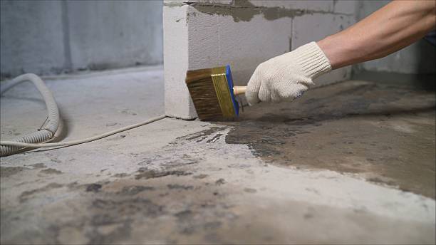 24/7 Emergency Crawl Space Encapsulation experts in Vinemont, AL